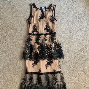 Forest Lily for Nordstrom Lace Cocktail Dress